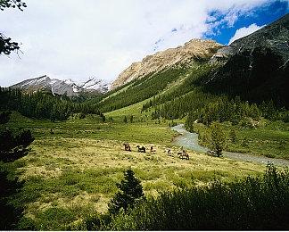 《战地2042》更新要来 韩国万花筒地图重做